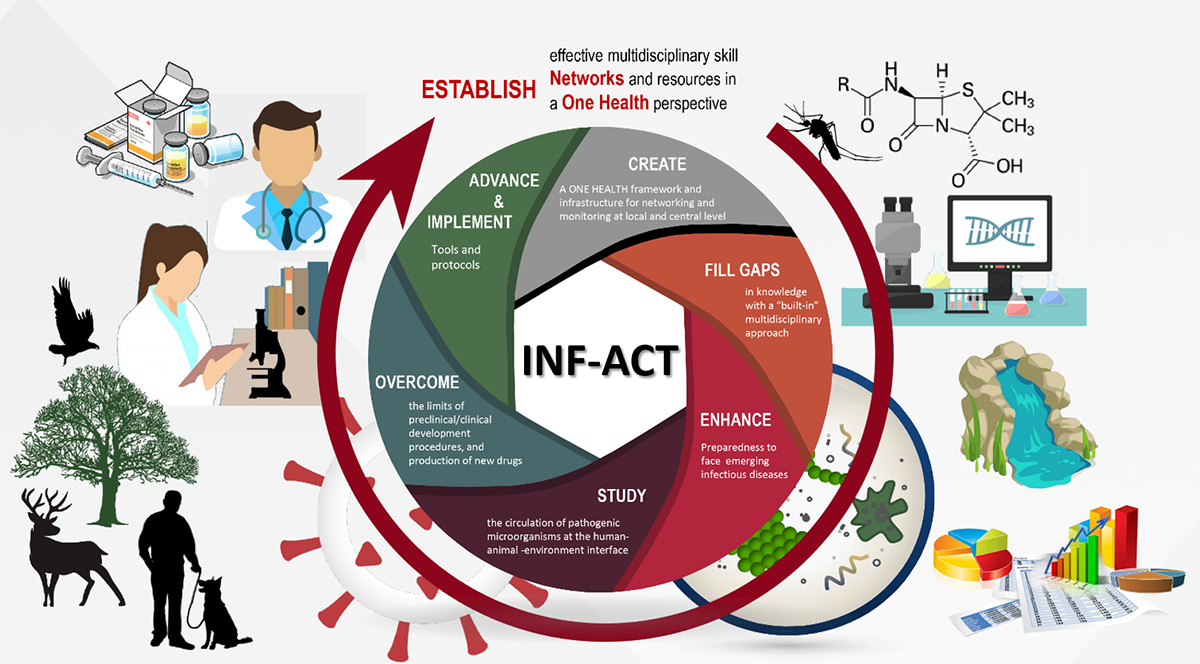 INF-ACT Foundation