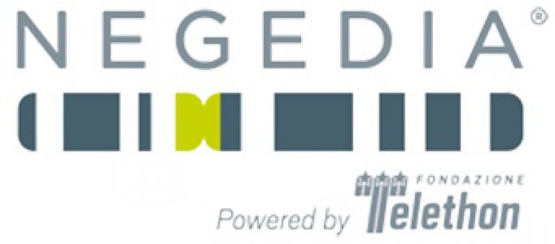 Negedia S.R.L. Negedia S.R.L.