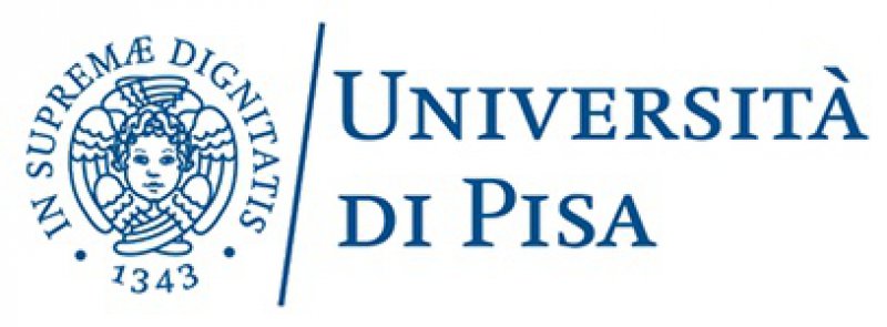 Università degli Studi di Pisa Università degli Studi di Pisa