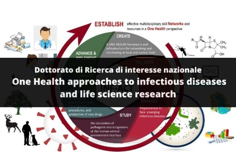PhD ONE HEALTH
